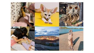 珍しい動物たちとのふれあい！埼玉県深谷市「ふかや花園プレミアム・アウトレット」トワイライト動物園開催